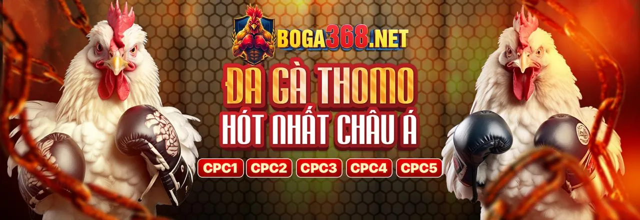 Điều Khoản Dịch Vụ của 8ket Trang Chủ Chính Thức