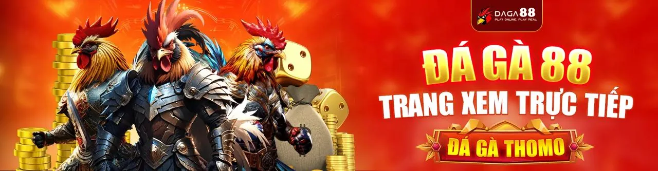Sân Đấu Đá Gà Trực Tuyến Hấp Dẫn tại 8ket